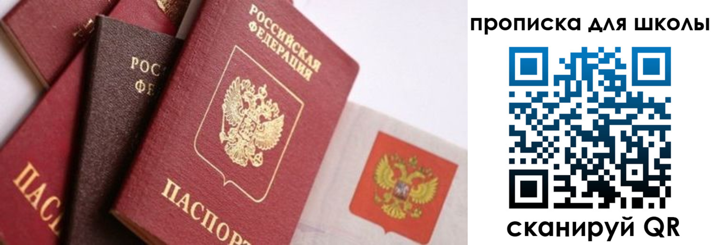 прописка поиск в Юрьевце